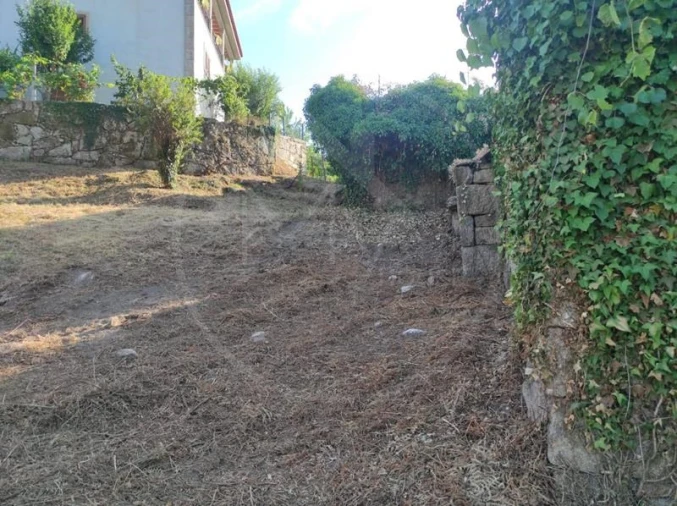Terreno para Venda em Mondim de Basto Foto 7