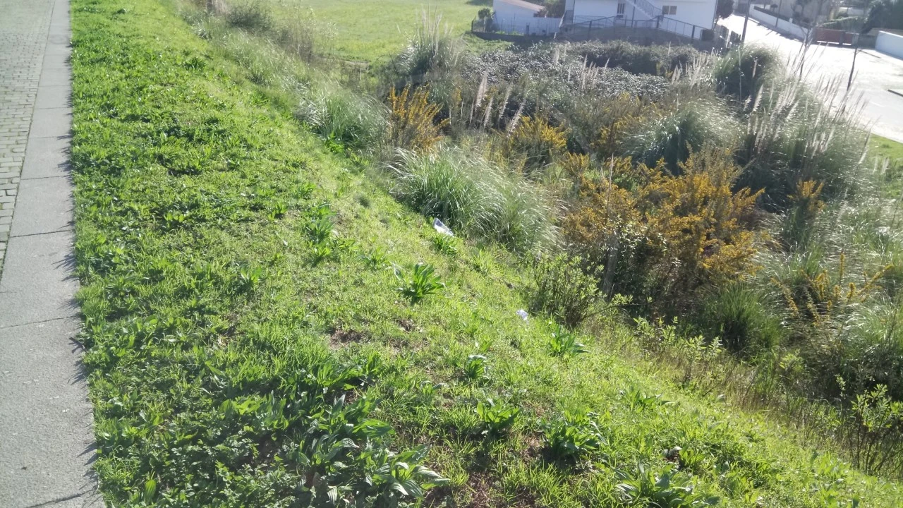 Terreno para Venda em Rio Tinto Foto 3