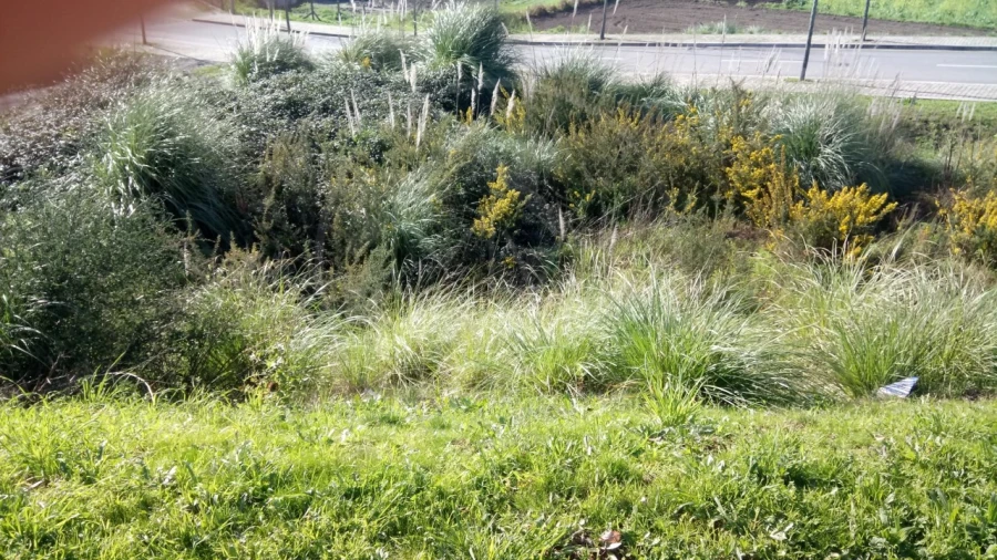 Terreno para Venda em Rio Tinto Foto 2