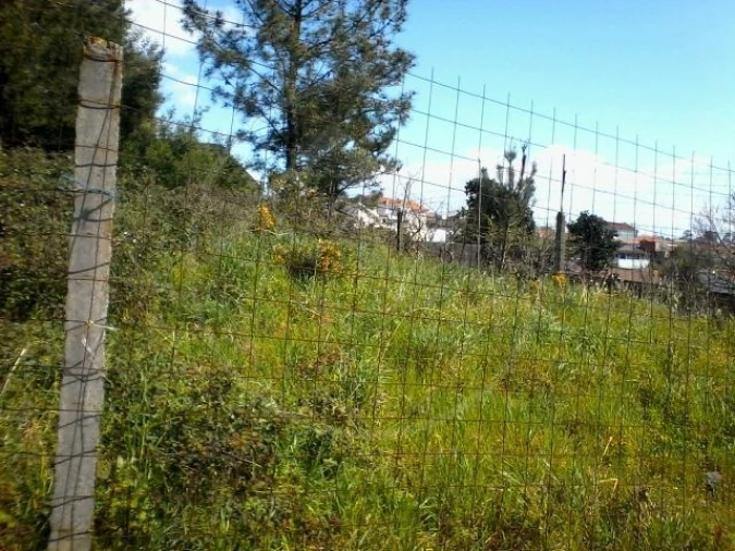 Terreno para Venda em Pedrouços Foto 2