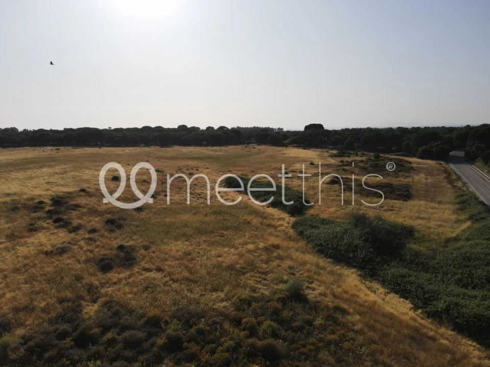 Terreno para Venda em Benavente Foto 10