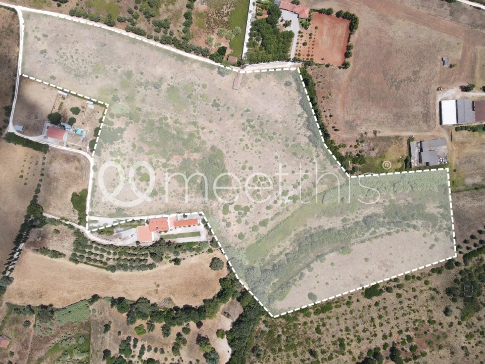 Terreno para Venda em Cartaxo e Vale da Pinta Foto 4