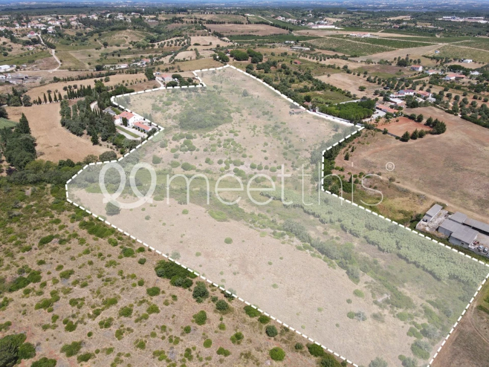 Terreno para Venda em Cartaxo e Vale da Pinta Foto 5