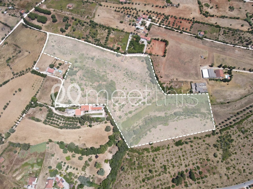 Terreno para Venda em Cartaxo e Vale da Pinta Foto 2