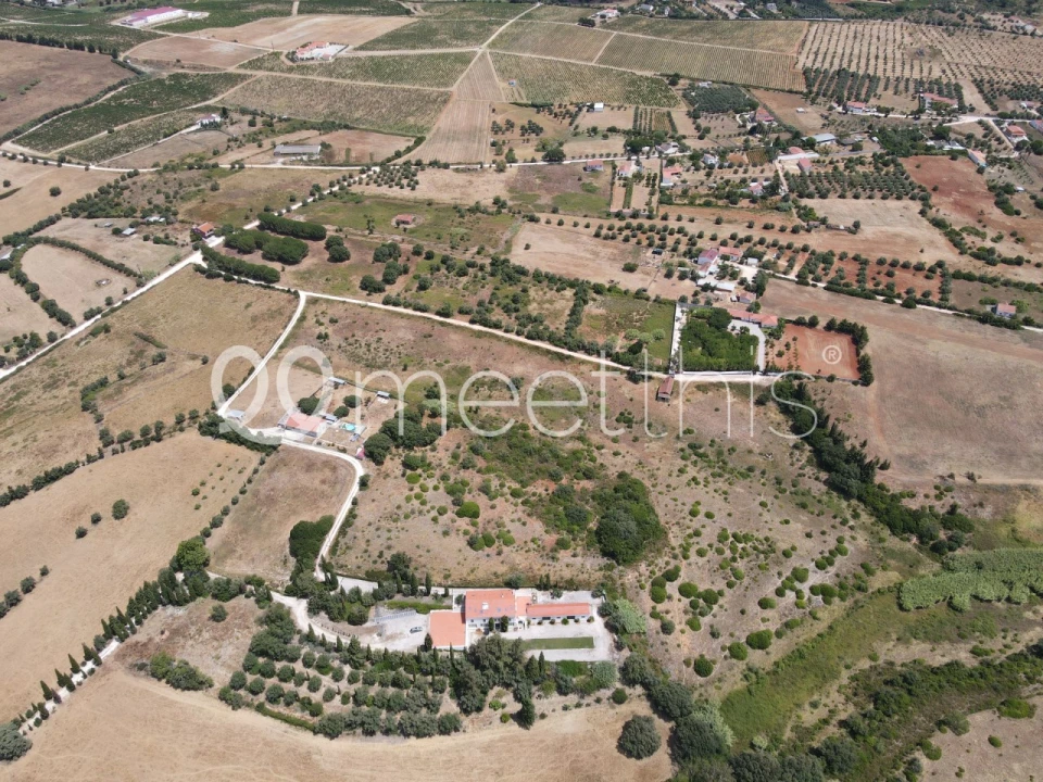 Terreno para Venda em Cartaxo e Vale da Pinta Foto 11