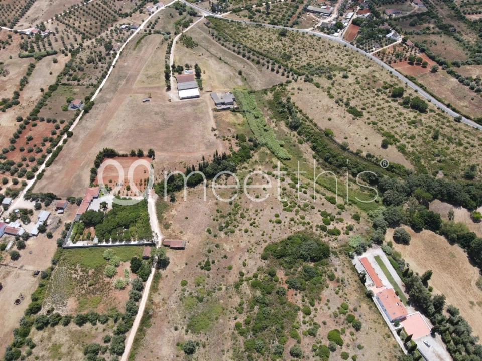 Terreno para Venda em Cartaxo e Vale da Pinta Foto 12