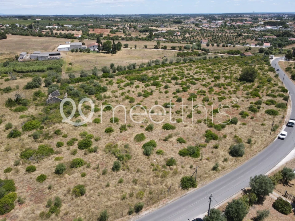 Terreno para Venda em Cartaxo e Vale da Pinta Foto 15
