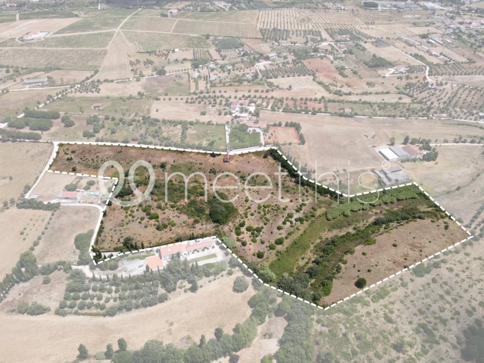 Terreno para Venda em Cartaxo e Vale da Pinta Foto 1