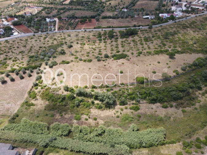 Terreno para Venda em Cartaxo e Vale da Pinta Foto 7