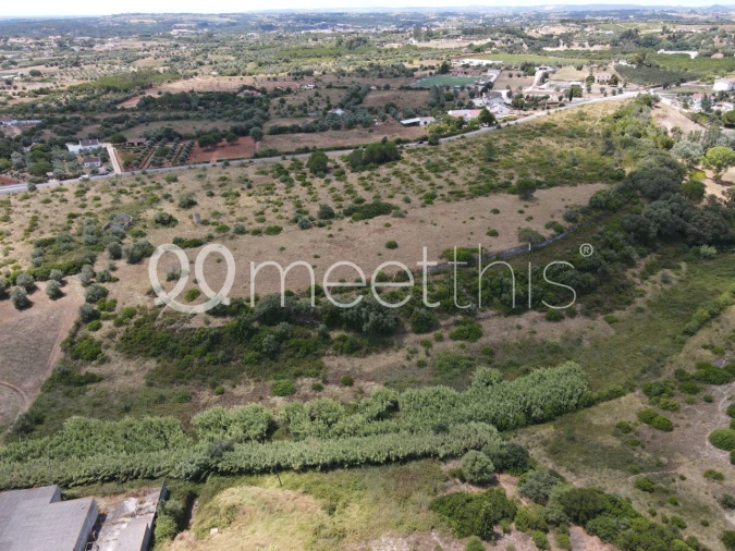 Terreno para Venda em Cartaxo e Vale da Pinta Foto 8