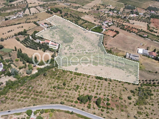 Terreno para Venda em Cartaxo e Vale da Pinta Foto 3