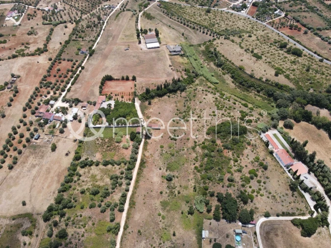 Terreno para Venda em Cartaxo e Vale da Pinta Foto 13