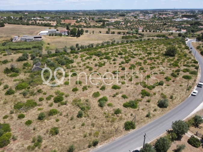 Terreno para Venda em Cartaxo e Vale da Pinta Foto 15