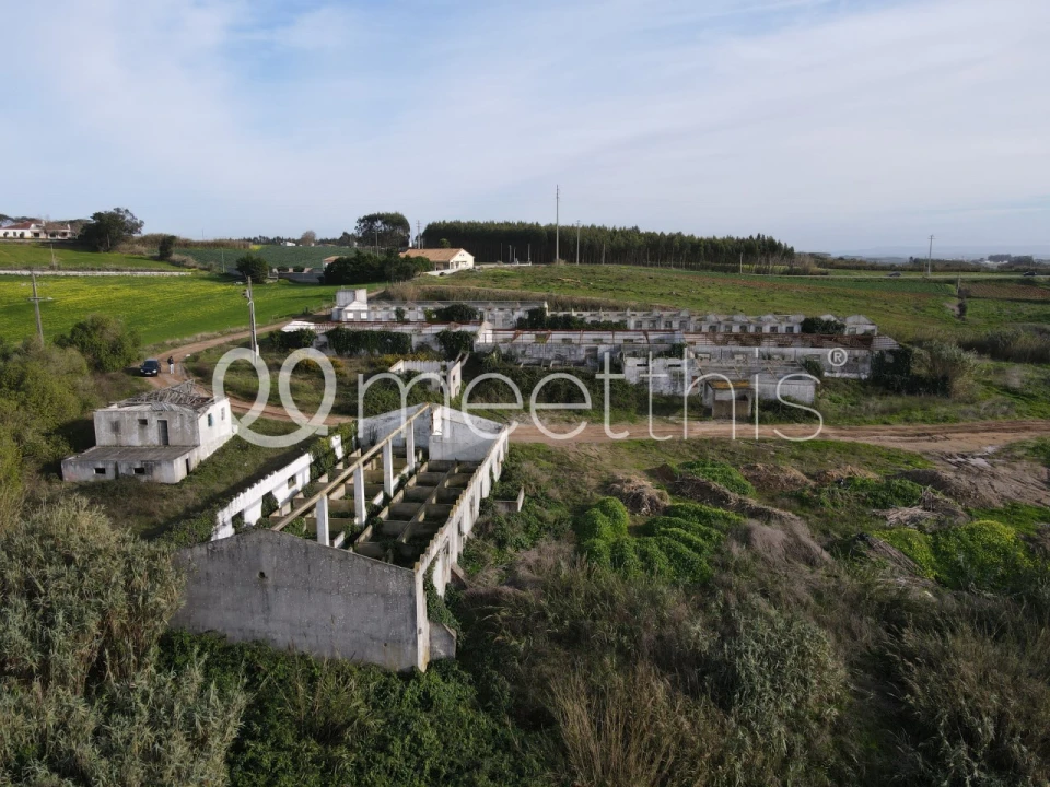 Terreno para Venda em Lourinhã e Atalaia Foto 5