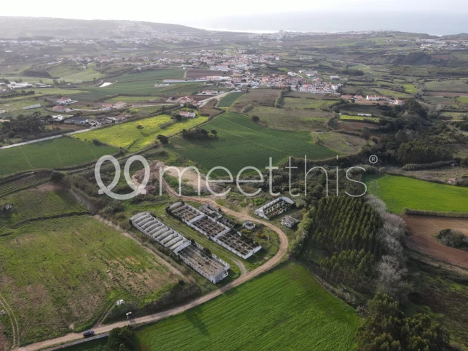 Terreno para Venda em Lourinhã e Atalaia Foto 2