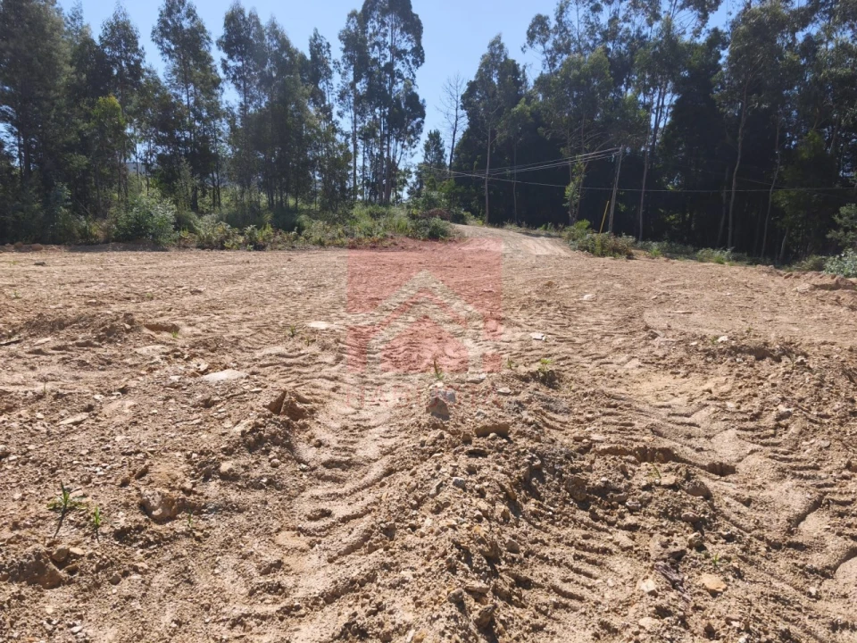 Terreno para Venda em Baguim do Monte (Rio Tinto) Foto 3