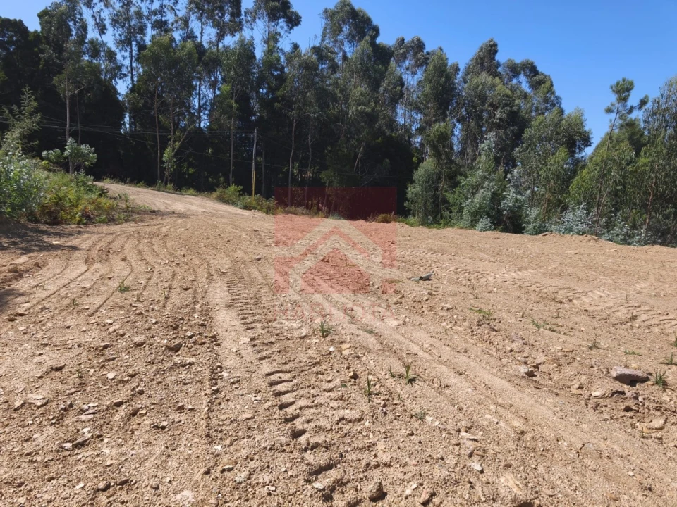 Terreno para Venda em Baguim do Monte (Rio Tinto) Foto 6