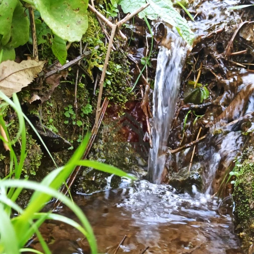 Terreno para Venda em Sobrado e Bairros Foto 4