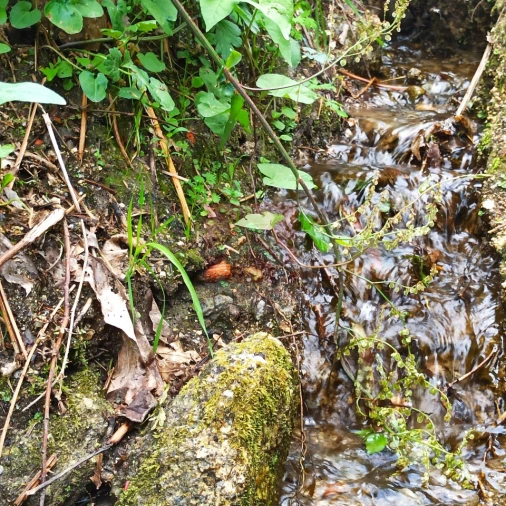 Terreno para Venda em Sobrado e Bairros Foto 5