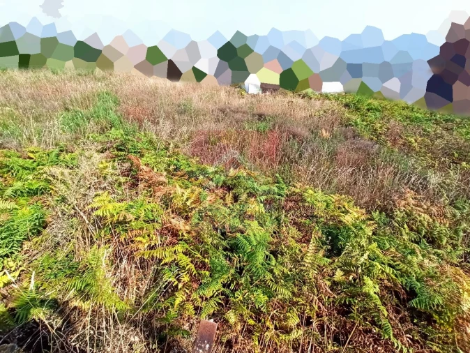 Terreno para Venda em Valongo Foto 1
