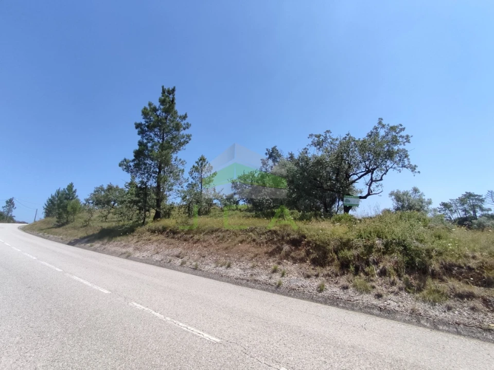 Terreno para Venda em Vila Cã Foto 1