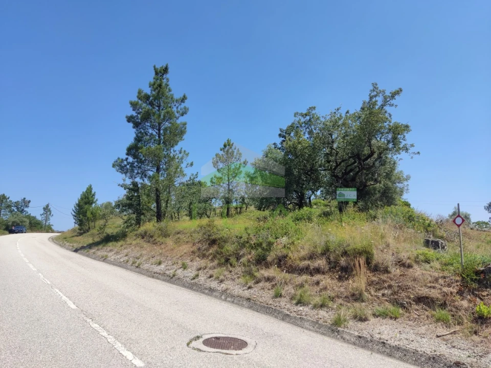 Terreno para Venda em Vila Cã Foto 3