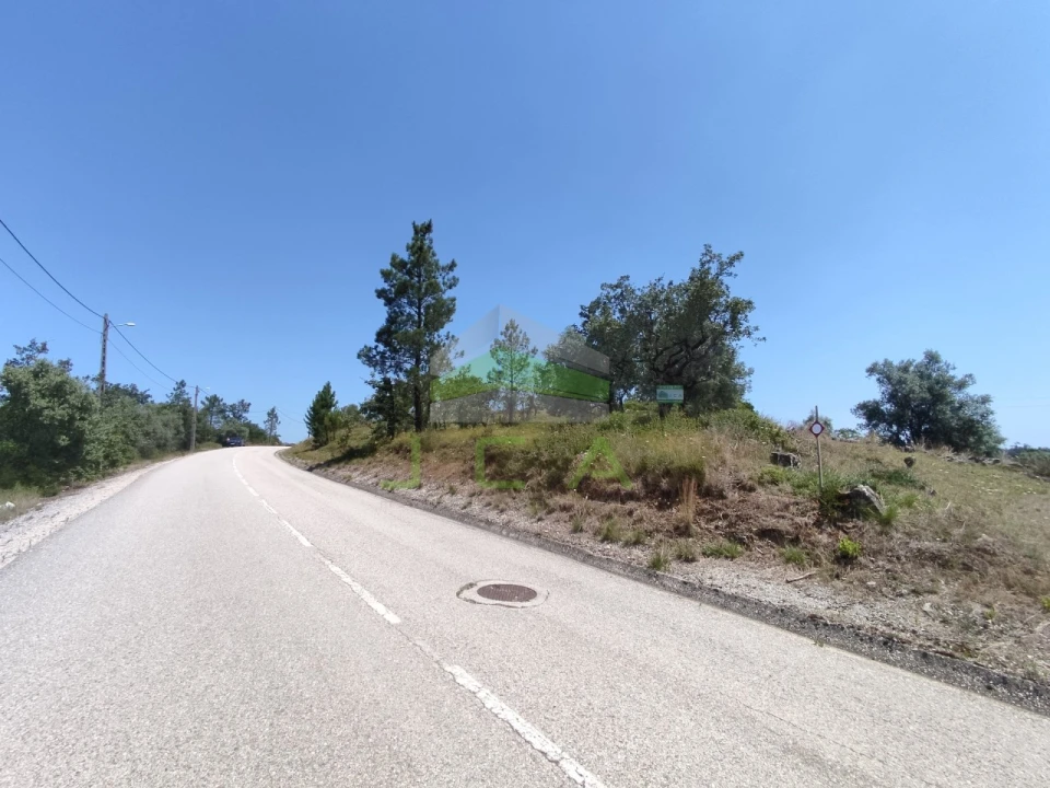 Terreno para Venda em Vila Cã Foto 4