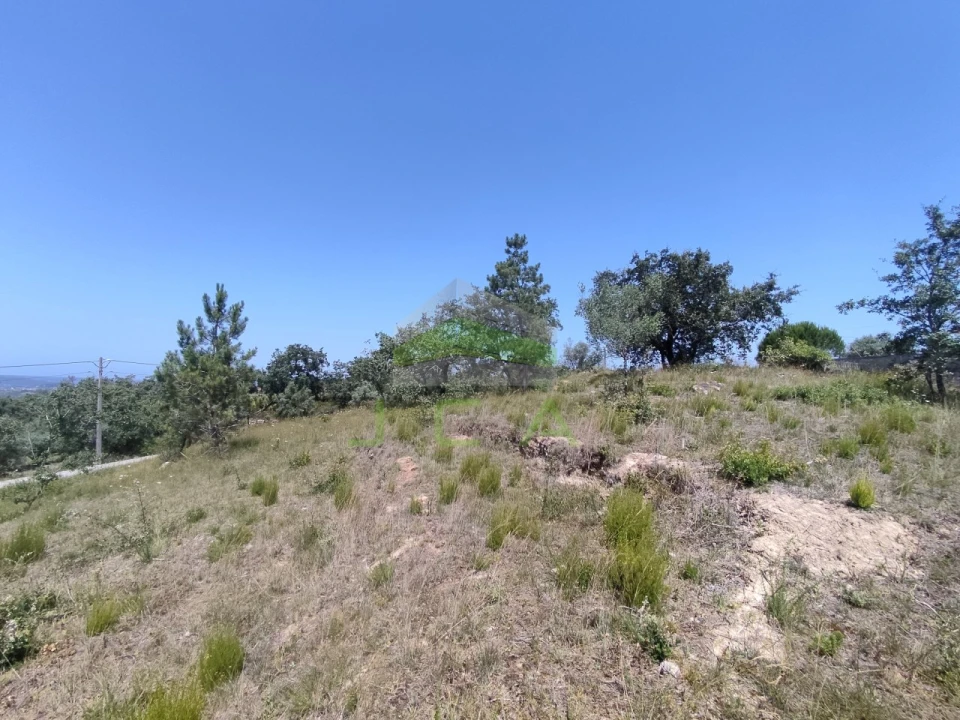 Terreno para Venda em Vila Cã Foto 6