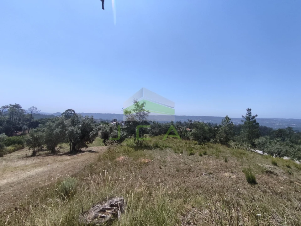 Terreno para Venda em Vila Cã Foto 8