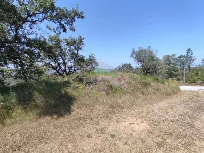 Terreno para Venda em Vila Cã Foto 11