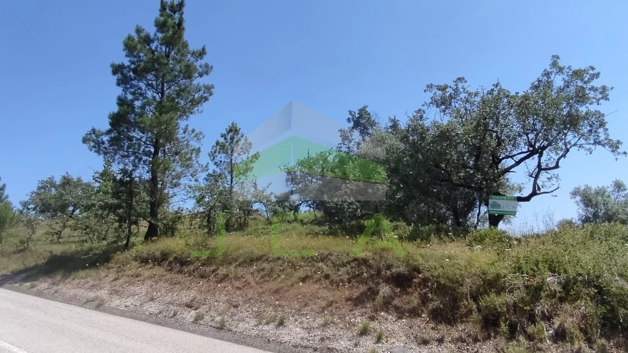 Terreno para Venda em Vila Cã