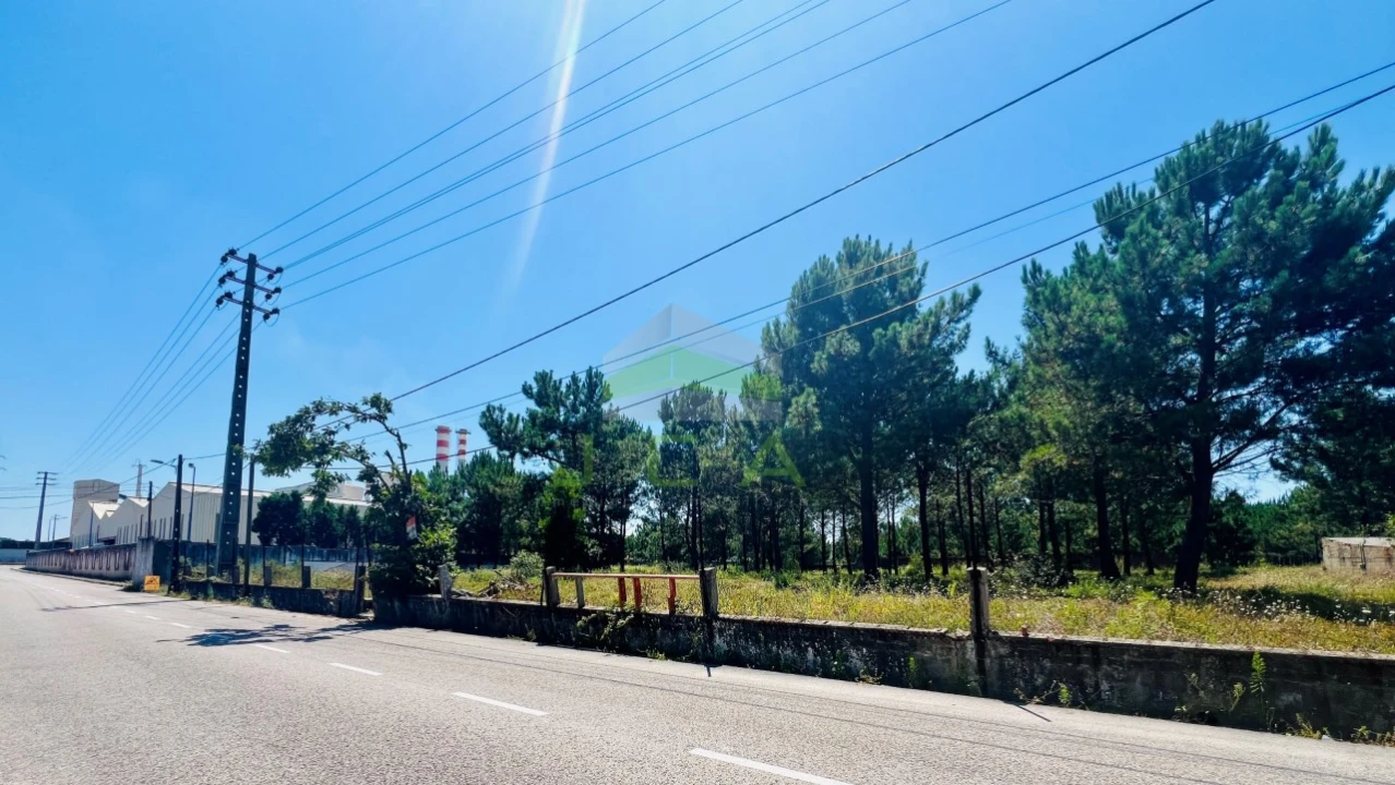 Terreno para Venda em Marinha Grande Foto 2