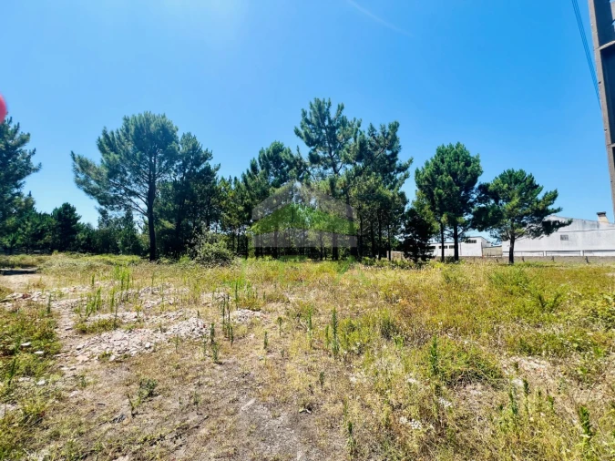 Terreno para Venda em Marinha Grande Foto 3