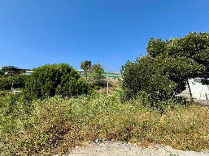 Terreno para Venda em Leiria, Pousos, Barreira e Cortes Foto 4