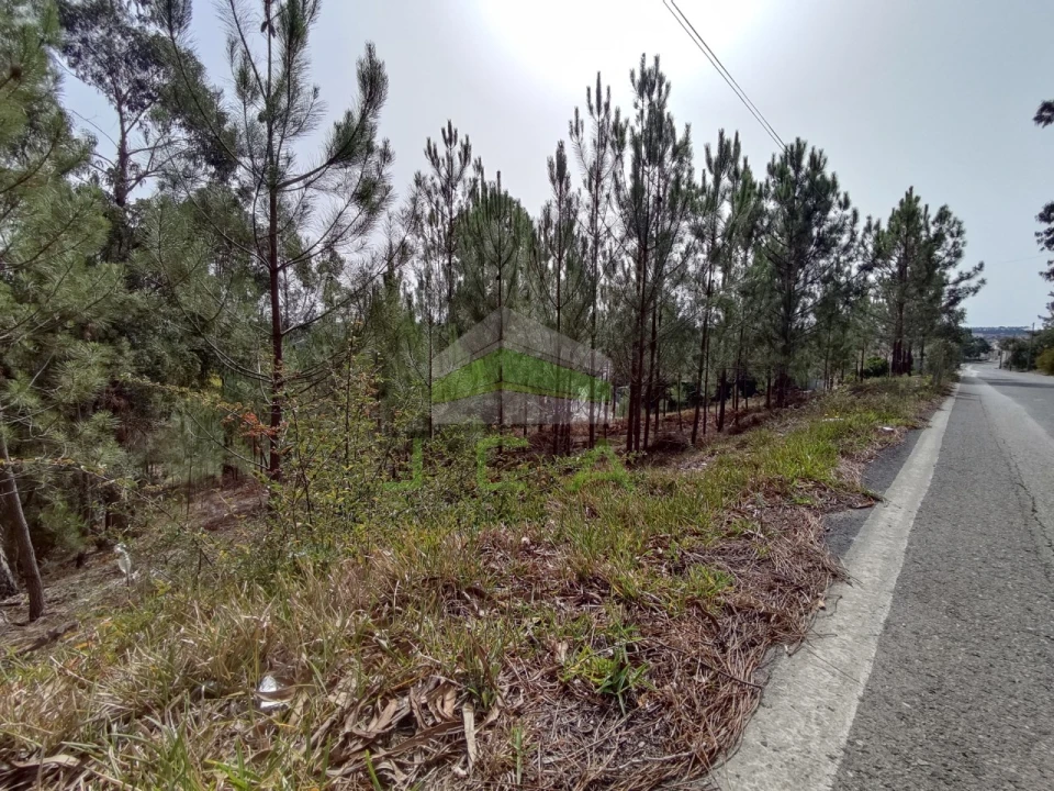 Terreno para Venda em Amor Foto 3