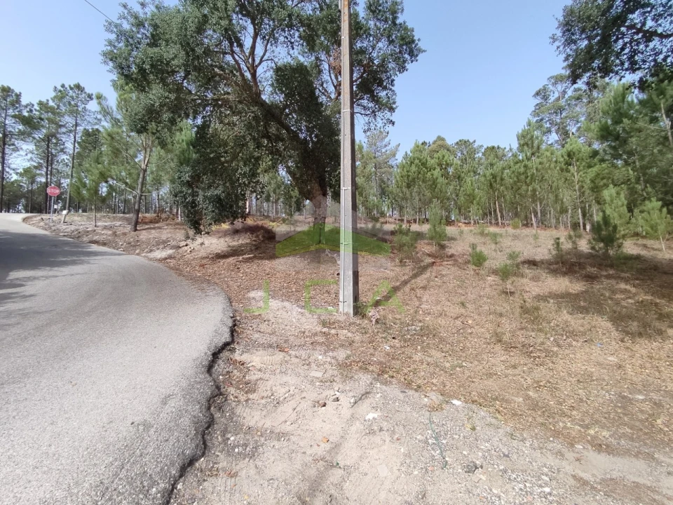 Terreno para Venda em Amor Foto 4