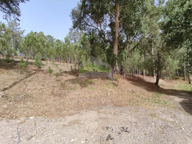 Terreno para Venda em Amor Foto 5