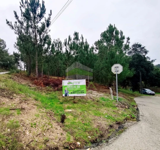 Terreno para Venda em Amor Foto 2