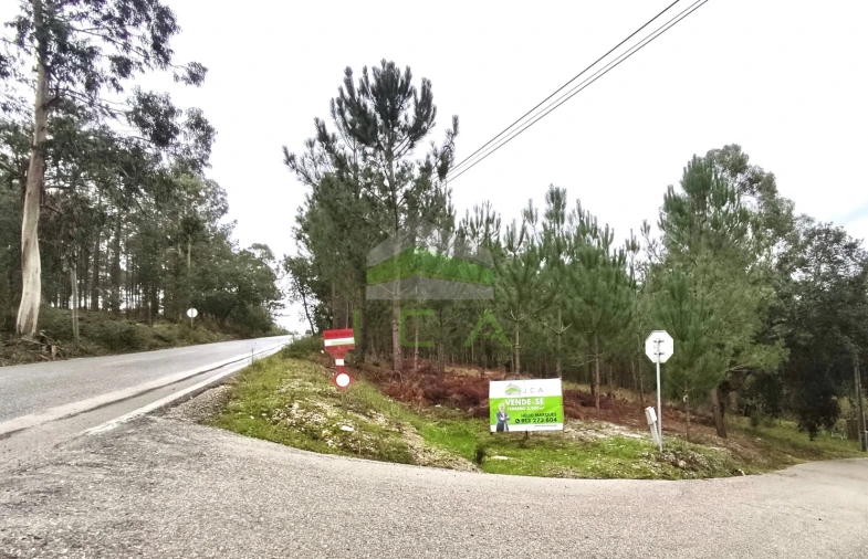 Terreno para Venda em Amor