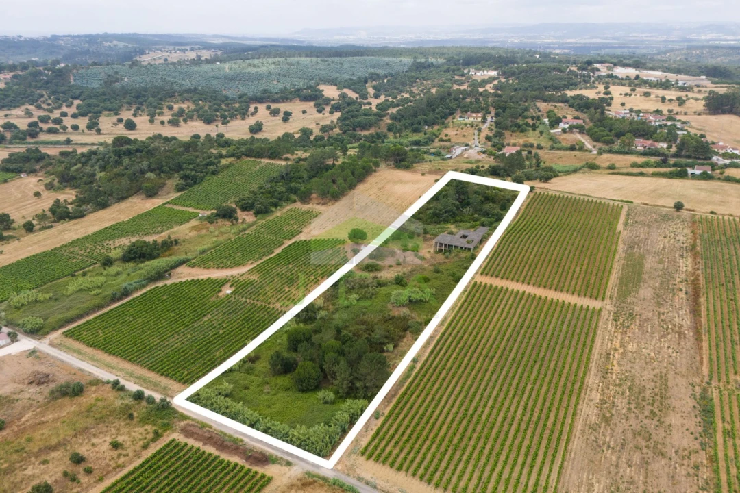 Terreno para Venda em Azambuja Foto 5