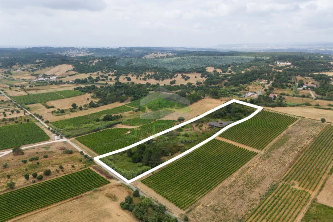 Terreno para Venda em Azambuja Foto 6