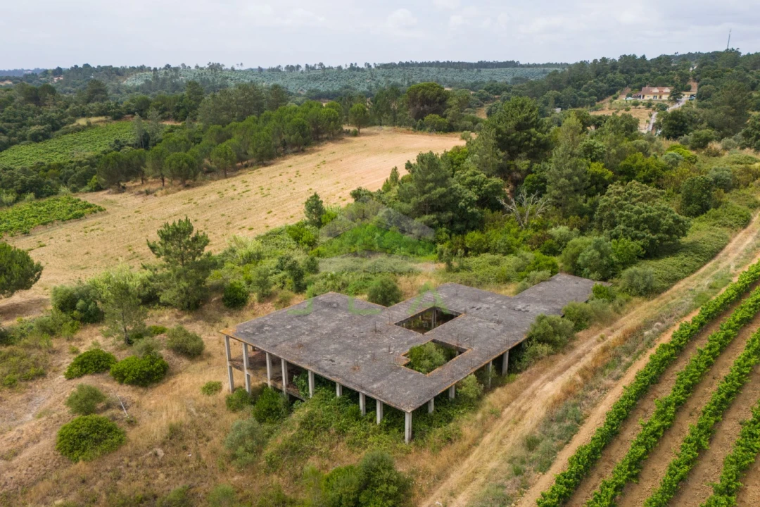 Terreno para Venda em Azambuja Foto 19
