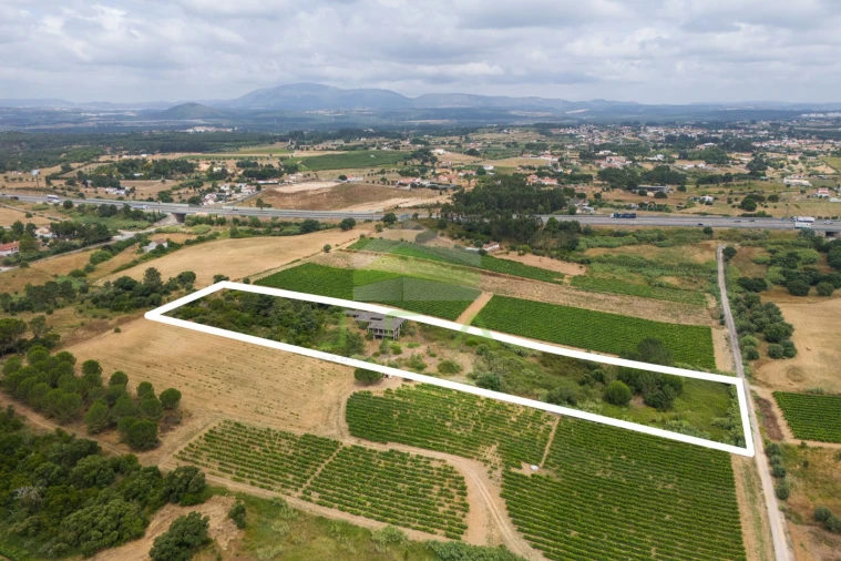 Terreno para Venda em Azambuja Foto 10