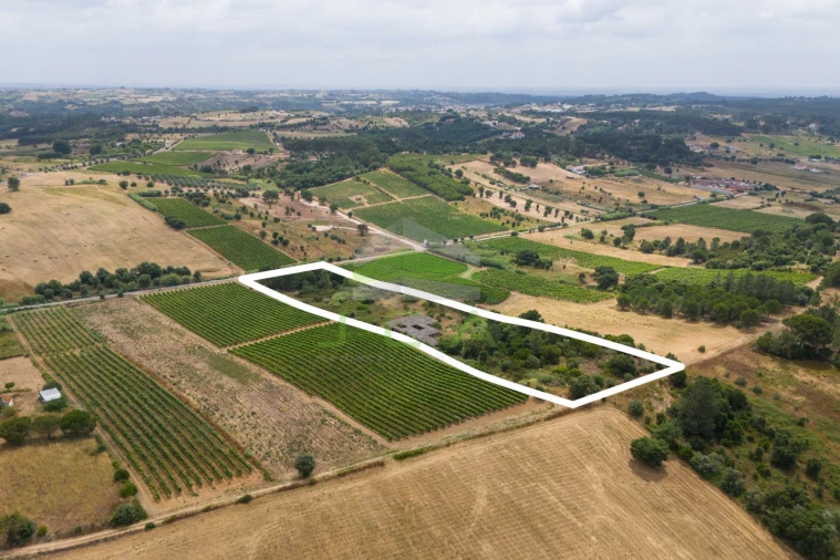 Terreno para Venda em Azambuja Foto 11