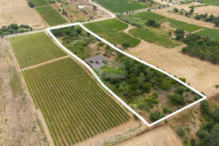Terreno para Venda em Azambuja Foto 14