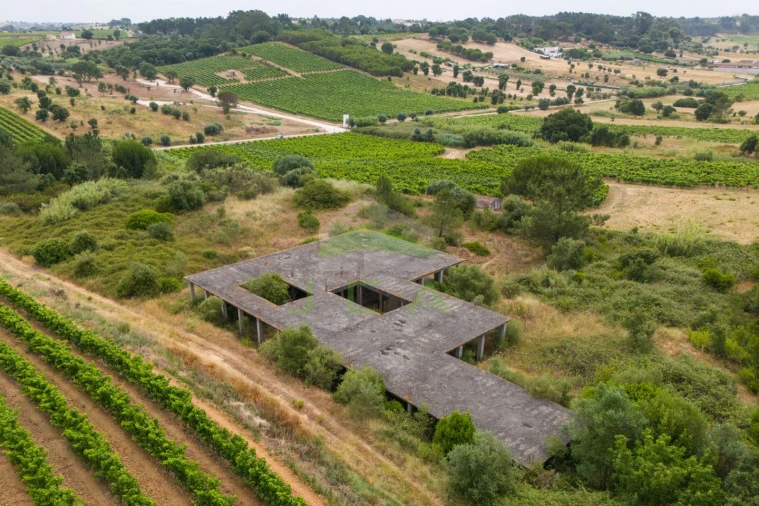 Terreno para Venda em Azambuja Foto 23