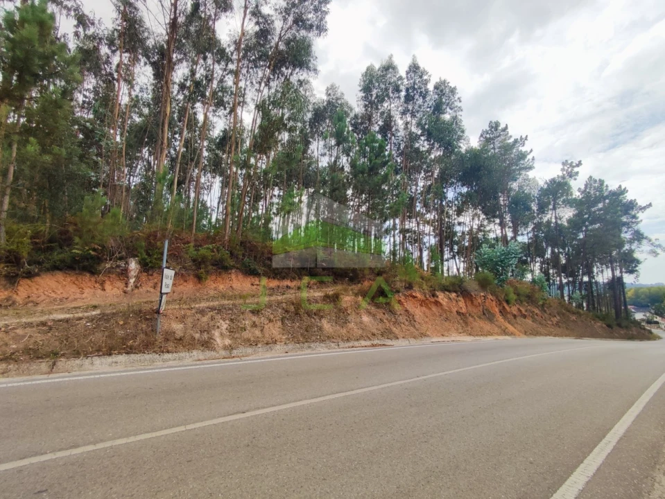 Terreno para Venda em Caranguejeira Foto 2
