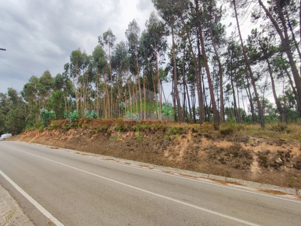 Terreno para Venda em Caranguejeira Foto 3