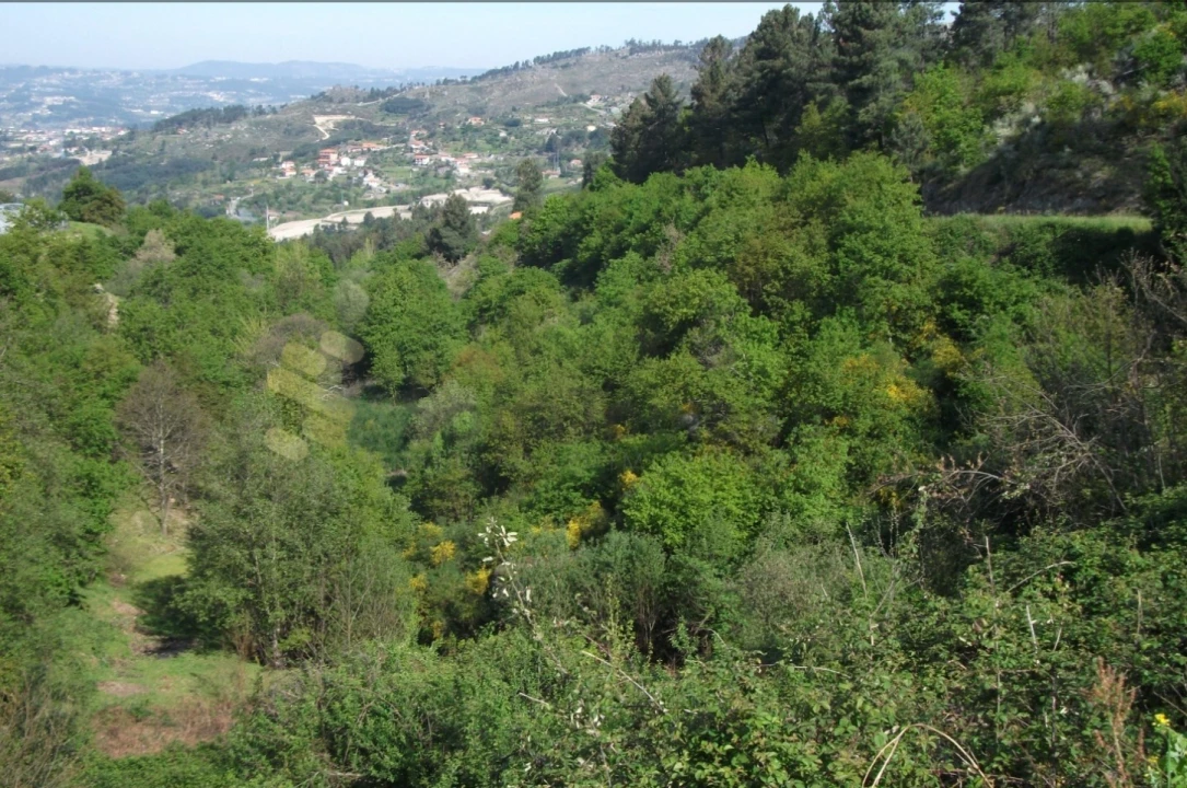 Terreno para Venda em Soalhães Foto 1