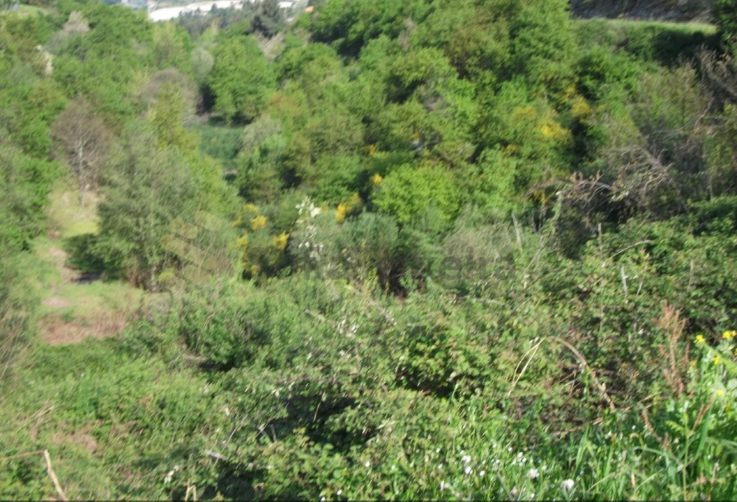Terreno para Venda em Soalhães Foto 3